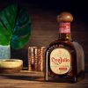 Don Julio Reposado Tequila (38% 0,7L)