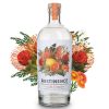 Abstinence Cape Citrus Gin ALKOHOLMENTES (0,75L 0%)