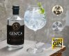 GinCa Gin (0,7L 40%)