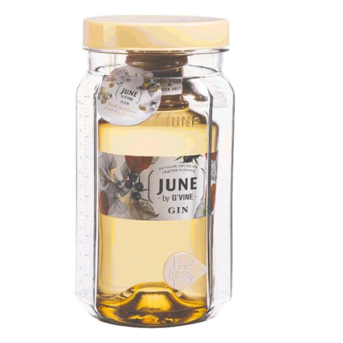 June by G'Vine Wild Peach Party Jar Gin (0,7L 37,5%)