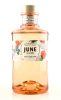 June by G'Vine Wild Peach Party Jar Gin (0,7L 37,5%)