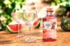 June by GVine Watermelon Gin (0,7L 37,5%)