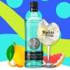 Puerto de Indias Gin (0,7L 37,5%)