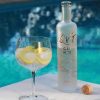 QVT Dry Gin (0,7L 40%)