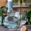 Rives El Alambique Gin (0,7L 42%)