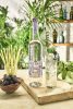 Belvedere Organic Infusions Blackberry & Lemongrass Vodka (0,7L 40%)