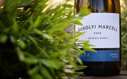 Bukolyi Riesling 2024 (0,75L 13.2%)