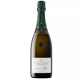 Raventos i Blanc Textures de Pedra Magnum 2018 (1.5L 12%)