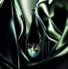 Dom Perignon Vintage 2010 Lady Gaga Limited Edition (0.75L 12,5%)