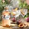 June by GVine Wild Peach Gin (37,5% 0,7L)