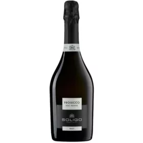 Soligo Prosecco DOC Treviso Brut 0,75L