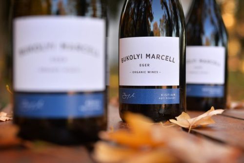 Bukolyi KISFIAM Egri Bikavér Superior 2022 (0,75L 13,5%)