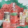 Absolut Watermelon Vodka (0,7L 38%)