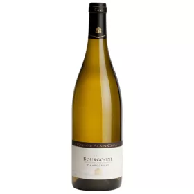 Alain Chavy Bourgogne Blanc 2024 0,75L - Francia fehérbor